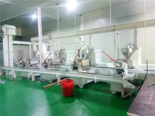 食用油牡丹籽油精煉油設備多少錢 悅恒機械誠信經(jīng)營