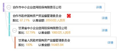 合作市中小企業(yè)信用擔保有限責任公司