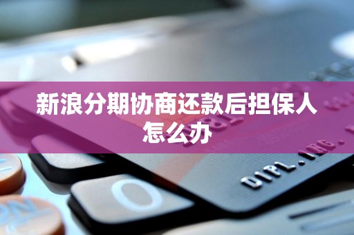 新浪分期協(xié)商還款后，信用擔(dān)保人如何應(yīng)對與解除擔(dān)保責(zé)任？